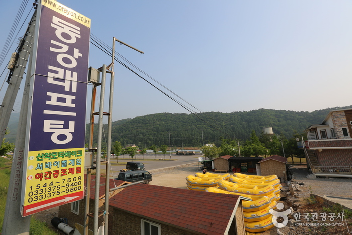 Donggang River Rafting (Yeongwol) (동강 래프팅 (영월))