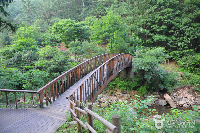 Forêt récréative de Baegunsan (국립 백운산 자연...