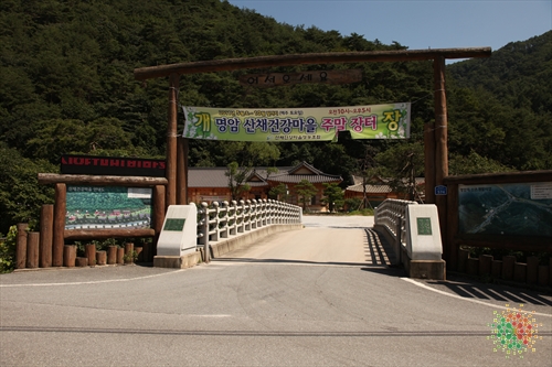 Myungam Well-being Town (명암산채건강마을)