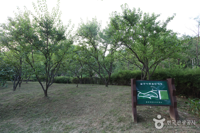 Jardín Botánico de Namsan (남산 야외식물원)4