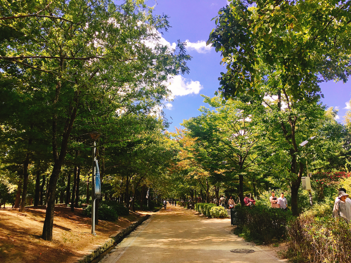 seoul-forest-korea-destination-place