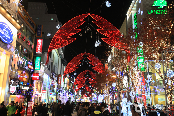 Busan Christmas Tree Festival (부산크리스마스트리문화축제)