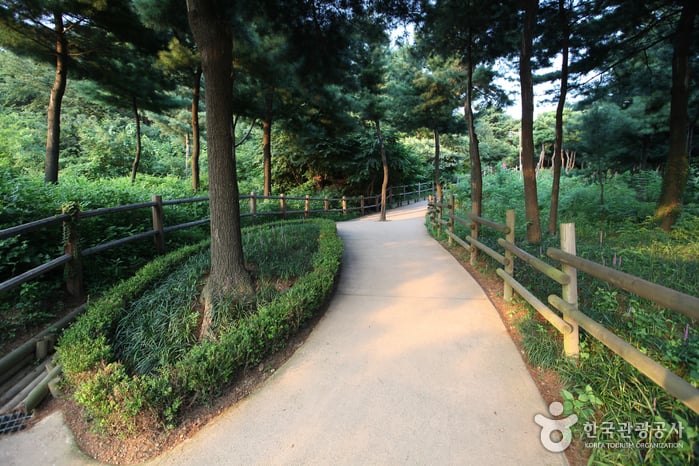 Jardín Botánico de Namsan (남산 야외식물원)2 Miniatura