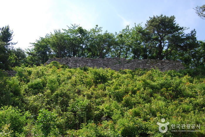 Seosaengpo Waeseong Fortress (서생포왜성)