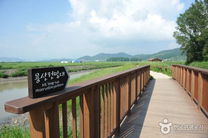 Observatoire de Yongsan de la baie de Su...
