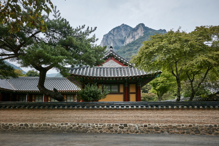 Baegyangsa Temple (백양사)