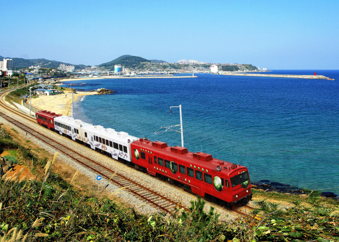 Sea Train (바다열차)