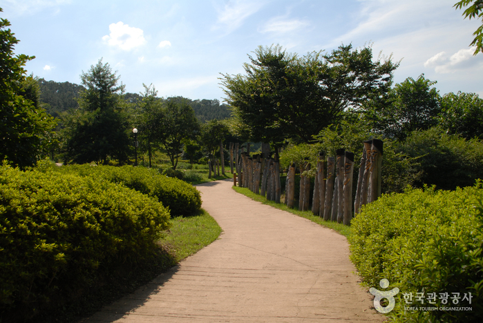 Geumgang Recreational Forest (Arboretum, Forest Museum) (금강자연휴양림(금강수목원,산림박물관))