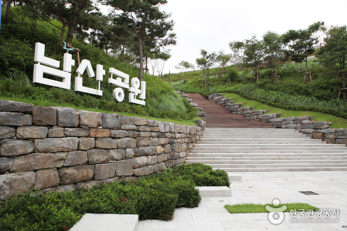 Parque del Monte Namsan (남산공원)9