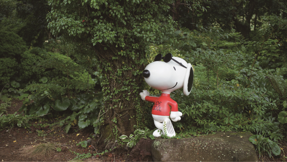 Snoopy Garden (스누피가든)