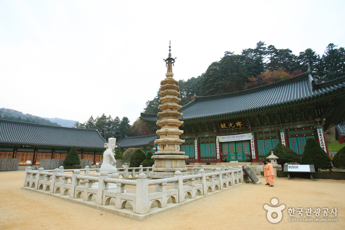 Programme de Temple Stay à Woljeongsa (월...