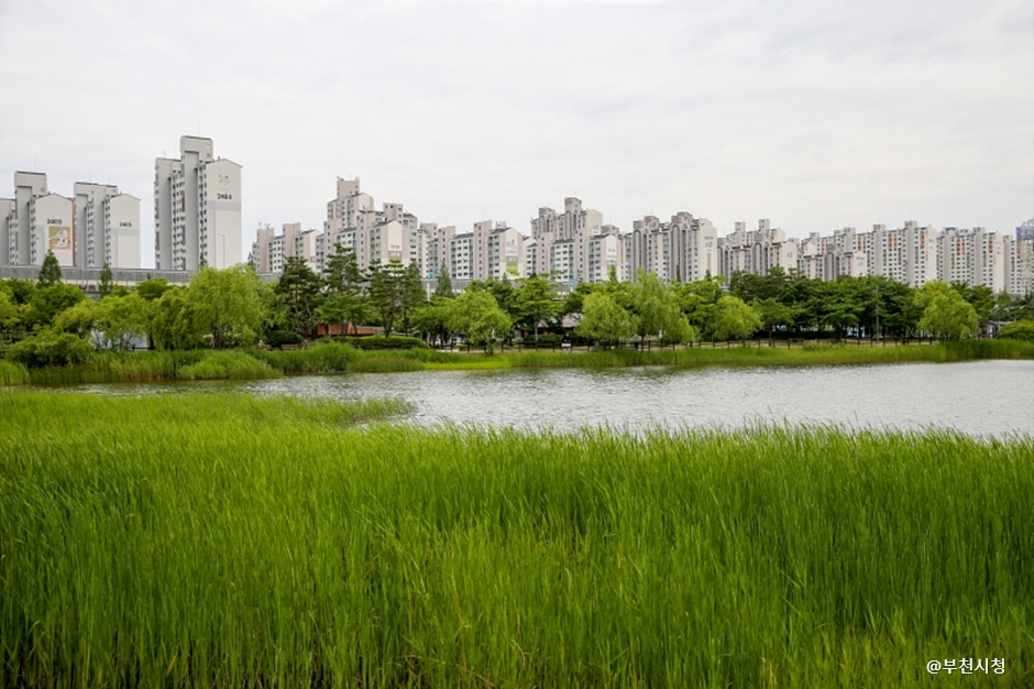 Sangdong Lake Park (상동호수공원)