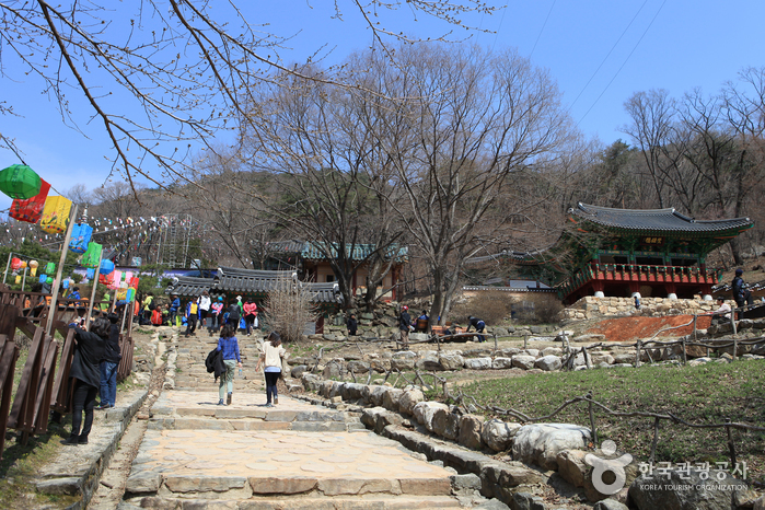 Yongmunsa Temple (용문사(용문산))