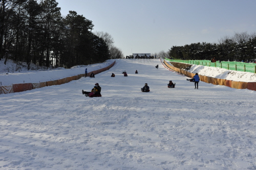 Korean Folk Village Sledding Hills (한국민속촌 눈썰매장)