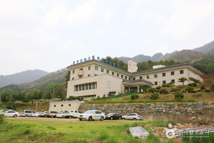 Mungyeong Tourist Hotel (문경관광호텔)