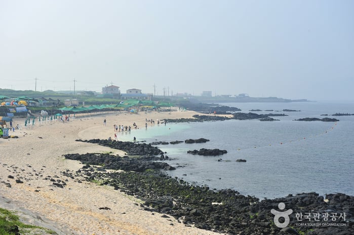 Udo Sanho Beach (Seobinbaeksa) (우도 산호해변 (서빈백사))