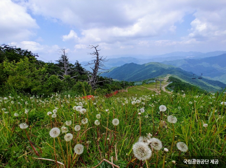 Nationalpark Deogyusan (덕유산국립공원(본소,적상분소))