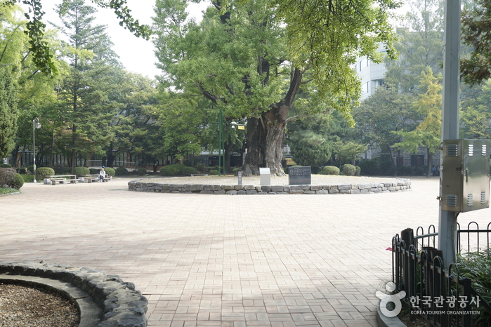 Cheongju Jungang Park (청주 중앙공원)