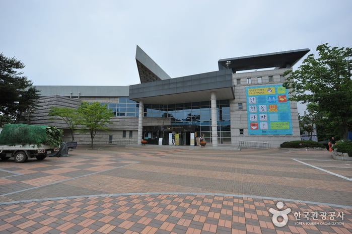 Incheon Metropolitan City Museum (인천광역시립박물관)