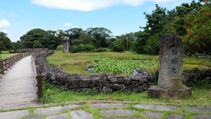 Honinji Pond (혼인지)