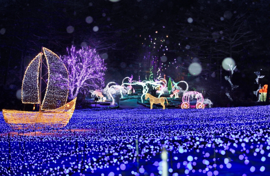 Фестиваль разноцветной иллюминации в Саду утреннего спокойствия (오색별빛정원전)3