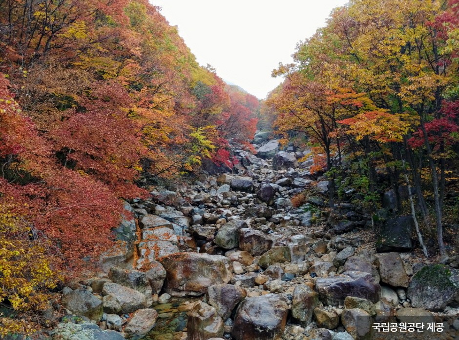 Jirisan National Park (Sancheong Section) (지리산국립공원(산청))