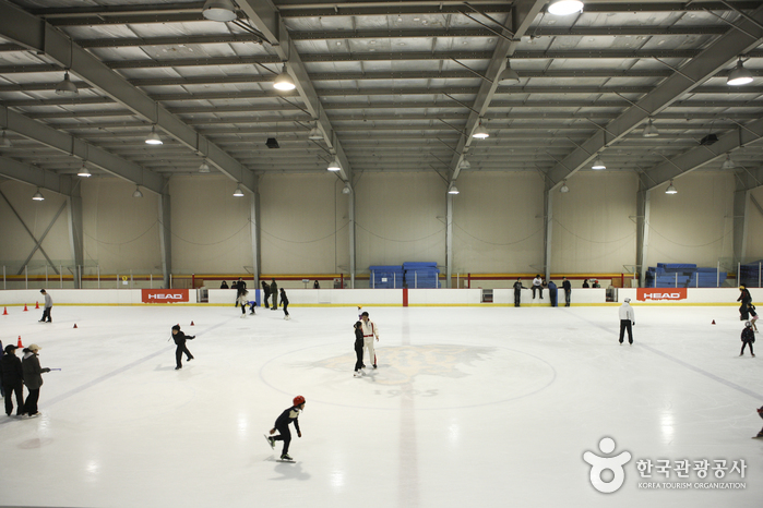 Korea University Ice Skating Rink (고려대학교 아이스링크)