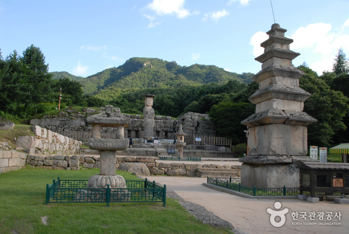 Chungju Mireukdaewon Stone Temple Site (충주 미륵대원지)