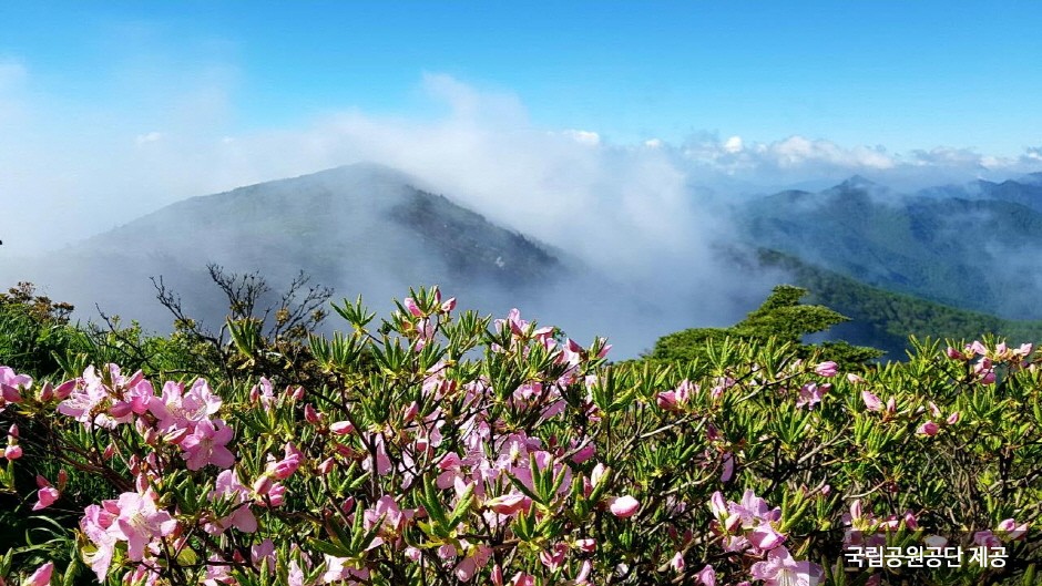 Parque Nacional del Monte Deogyusan (덕유산국립공원(본소,적상분소))39 Miniatura