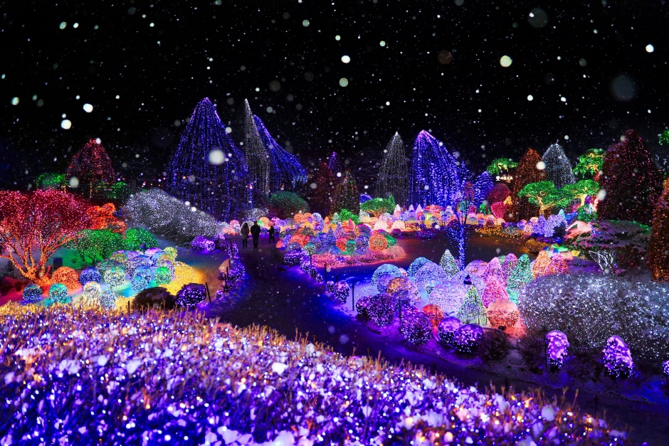 Фестиваль разноцветной иллюминации в Саду утреннего спокойствия (오색별빛정원전)2