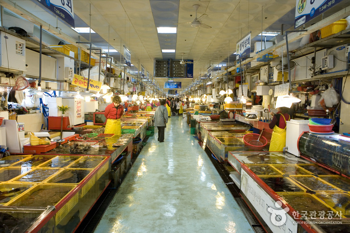 Jagalchi Market Live Fish Section (자갈치시장 활어부)