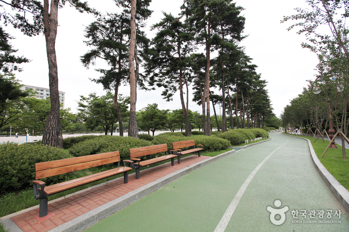 Yeouido Park (여의도공원)