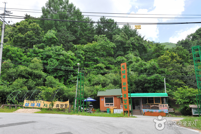 Seolmaejae Recreational Forest (설매재자연휴양림)