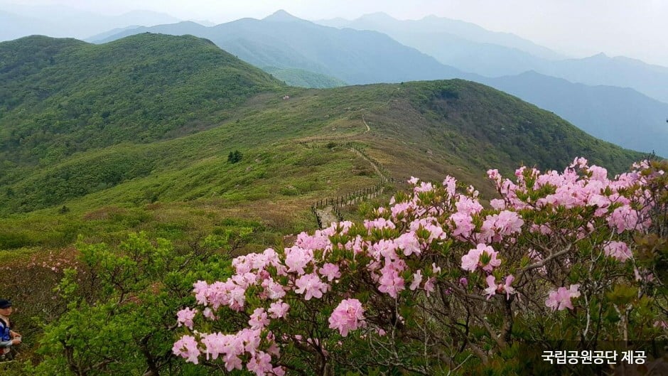 Parque Nacional del Monte Deogyusan (덕유산국립공원(본소,적상분소))38 Miniatura