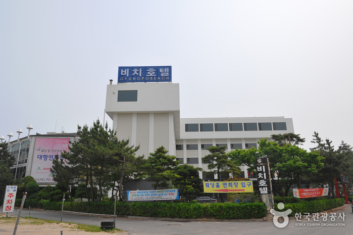 Search Hotels : Visitkorea Gyungpo Beach Hotel (경포비치호텔) | Official Korea  Tourism Organization