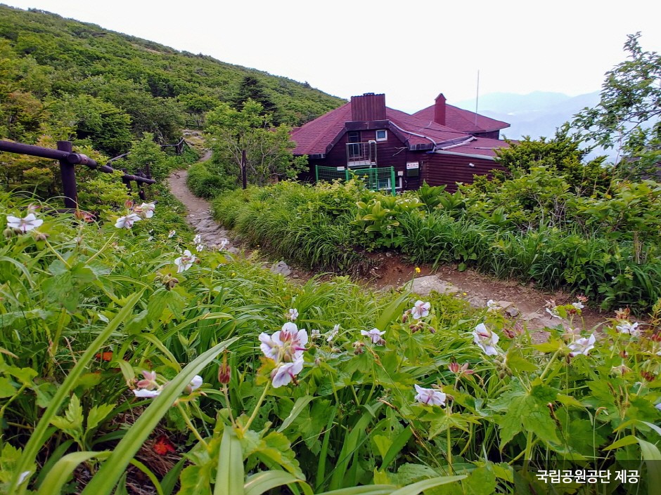 Parque Nacional del Monte Deogyusan (덕유산국립공원(본소,적상분소))44 Miniatura