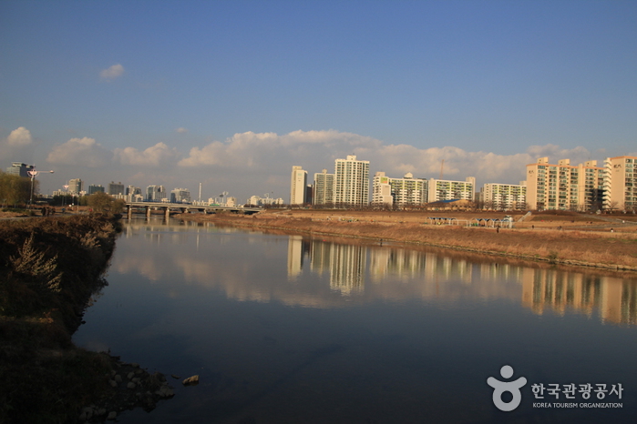 Anyangcheon Stream (안양천)