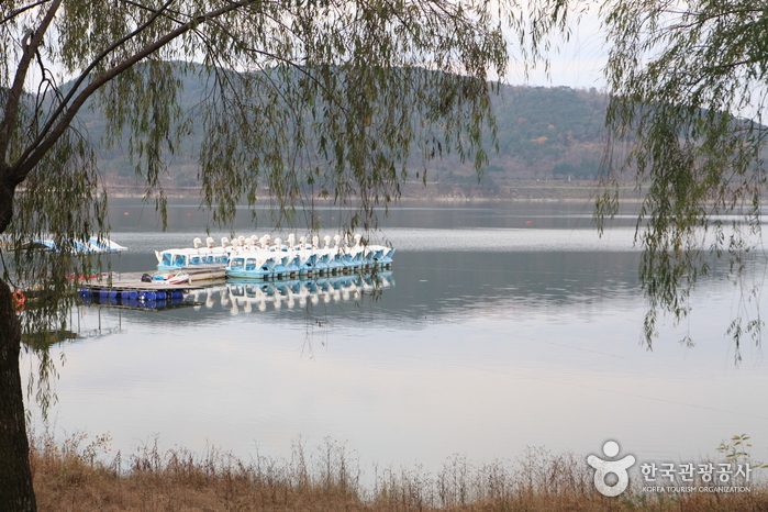 Bomunho Lake (보문호)