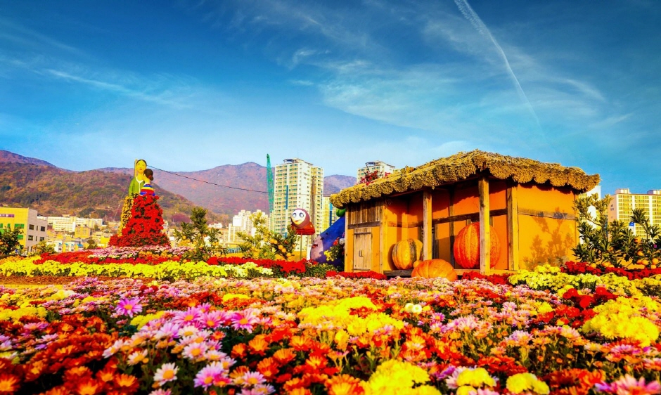 Others : VisitKorea Masan Chrysanthemum Festival (마산국화축제) | Official Korea  Tourism Organization