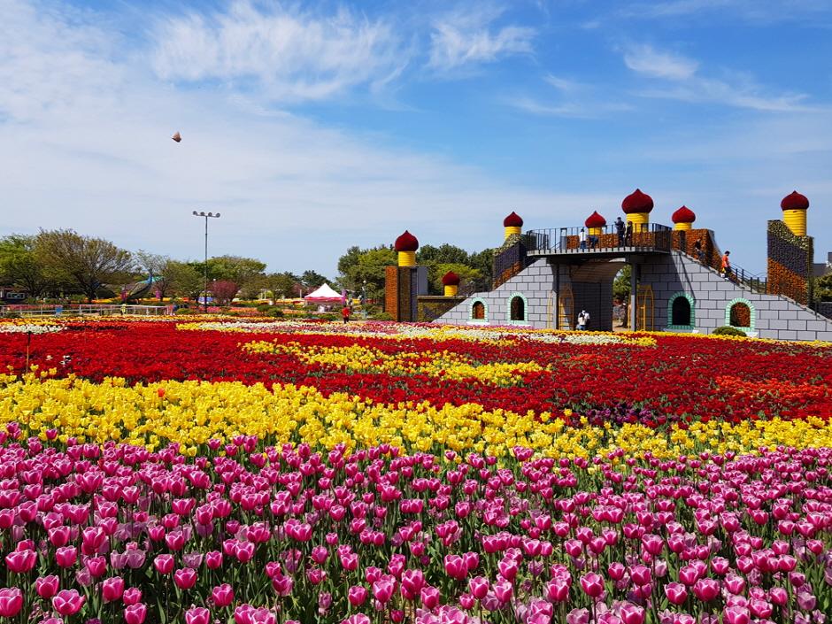 Taean Tulip Park (태안 세계튤립공원)