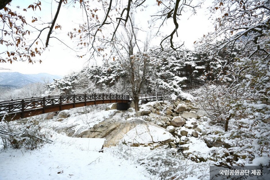 Parque Nacional del Monte Bukhansan (북한산국립공원(서울))29