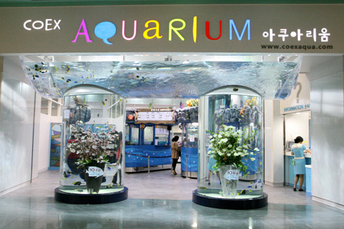 Aquarium del COEX (코엑스 아쿠아리움) 12 Miniatura
