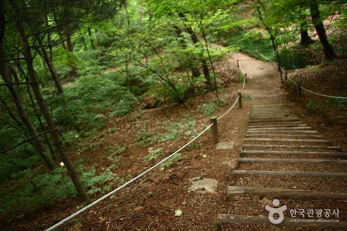 Hongneung Arboretum (홍릉수목원)