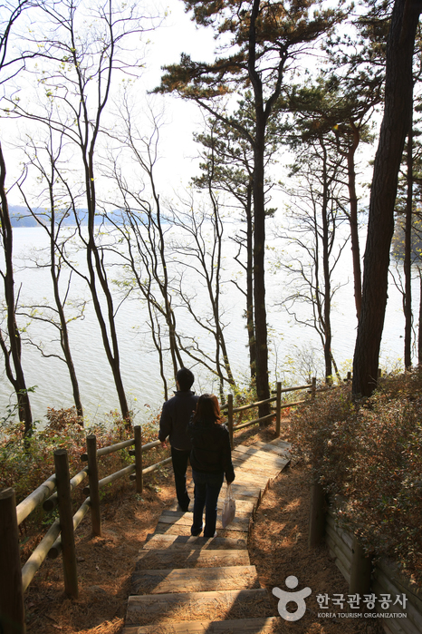 Yedang Reservoir (예당저수지(예당관광지))