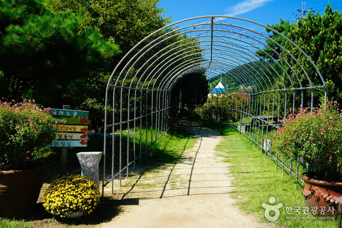 觀光景點查詢 韓國觀光公社楊平野花樹木園 양평들꽃수목원 觀光景點查詢 旅遊精選 韓國觀光公社