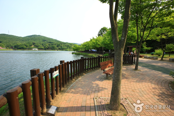Yuldong Park (율동공원)