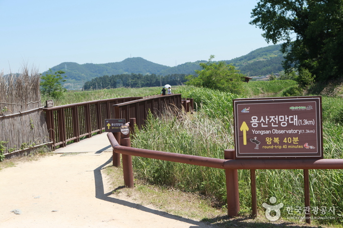 Observatoire de Yongsan de la baie de Su...