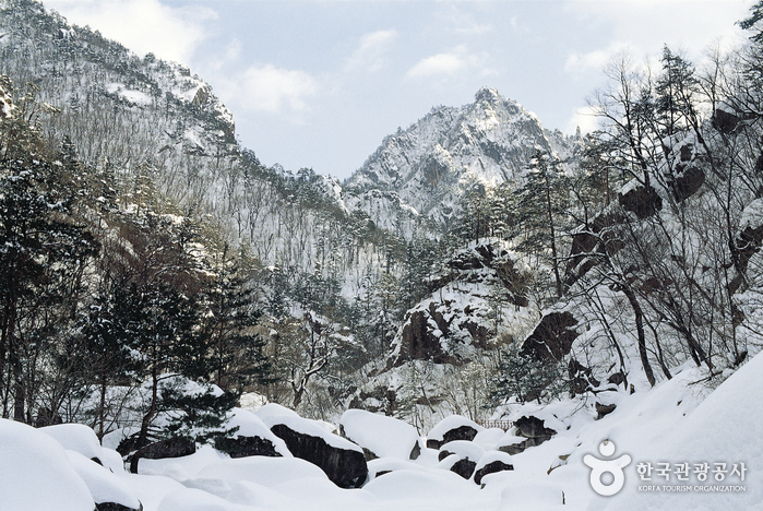 雪嶽山國立公園(內雪嶽)(설악산국립공원(내설악))