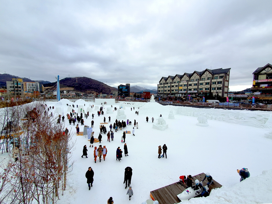 Daegwallyeong Snow Festival (대관령 눈꽃축제)