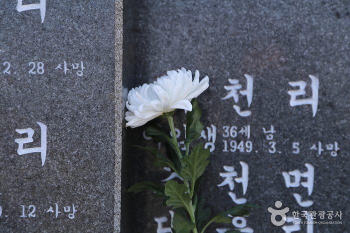 Jeju 4.3 Peace Park (제주4·3평화공원)